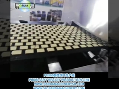 Đường bánh quy từ A đến Z Đường chế biến bánh quy tự động đầy đủ 500kg / H Thiết bị chế biến bánh quy