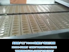 PD300 JELLY GUMMY CANDY PRODUCTION LINE ở Mỹ