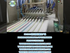 PD1000 MARSHMALLOW EXTRUDING PRODUCTION LINE MARSHMALLOW MAKING MACHINE EQUIPMENT máy móc