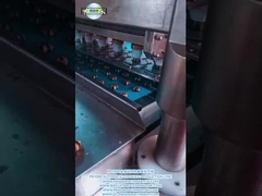 PD1000 LINE sản xuất bánh quy màu kép hoàn toàn tự động